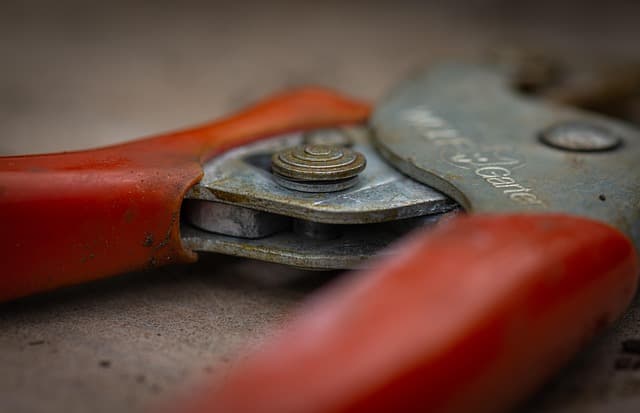 Best Gardening Tools: Your Ultimate Buying Guide