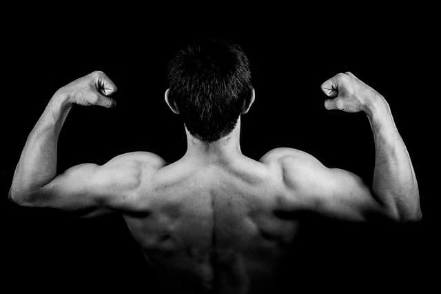 Guide d'achat produits de thérapie physique