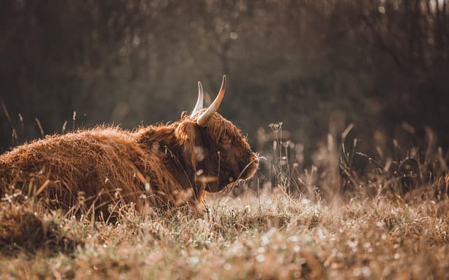 Jak zdrowo się odżywiać: Kompletny przewodnik